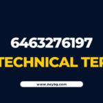 6463276197 - A Technical Term: What Can We Get From This?